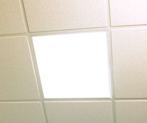 Basement Ceiling Near Cambridge Lowell Boston Basement
