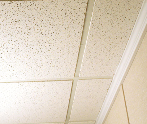 Basement Ceiling Near Cambridge Lowell Boston Basement